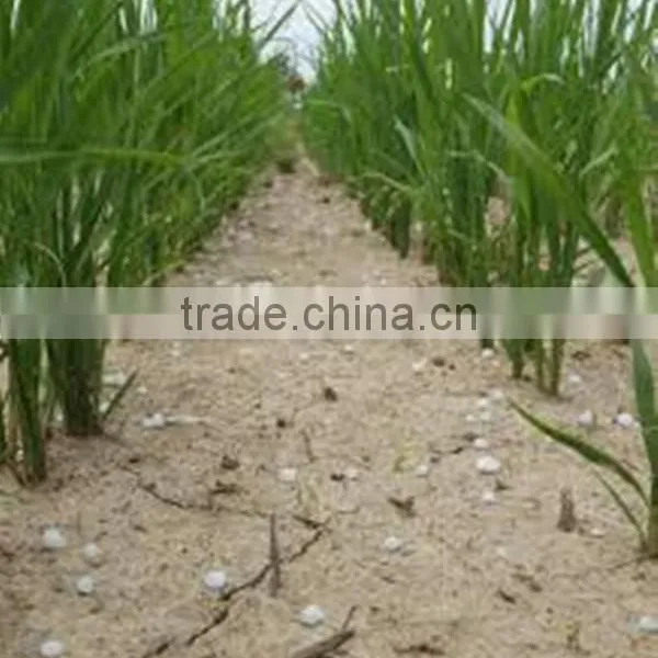Types of Prilled Urea Fertilizer Price per Ton photo-6