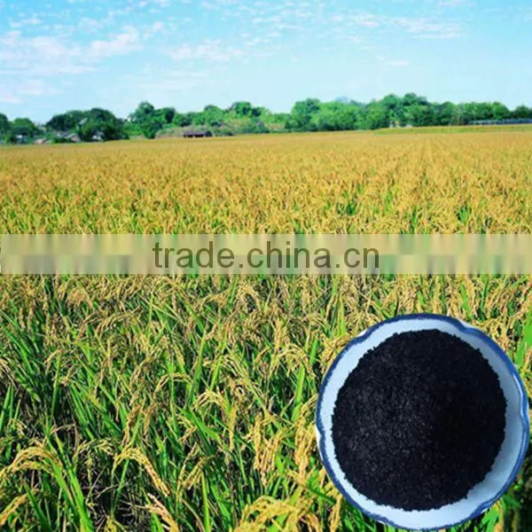 Factory Direct Supply Organic Seaweed Based Fertilizer With 100% Water Soluble photo-3