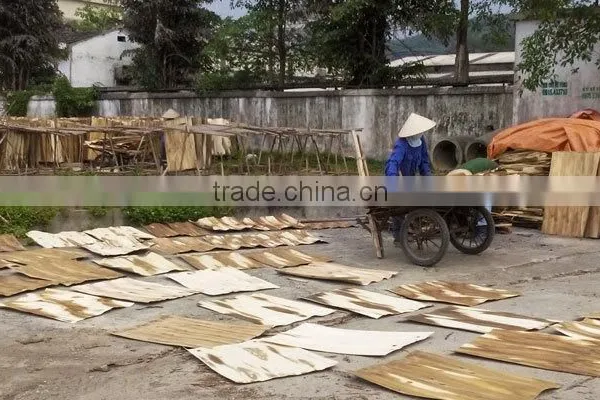 VIETNAM SHORT GRAIN CORE VENEER FROM EUCALYPTUS & ACACIA WOOD
