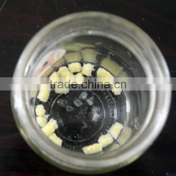 Feed Drying Machine/dry Fish for Poultry Feed Machine photo-4