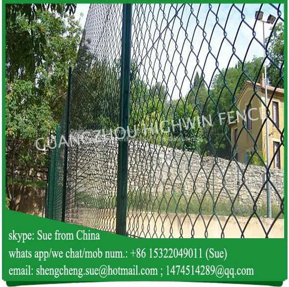 Green Pvc Coated Chain Link Fence for Africa Farm photo-2