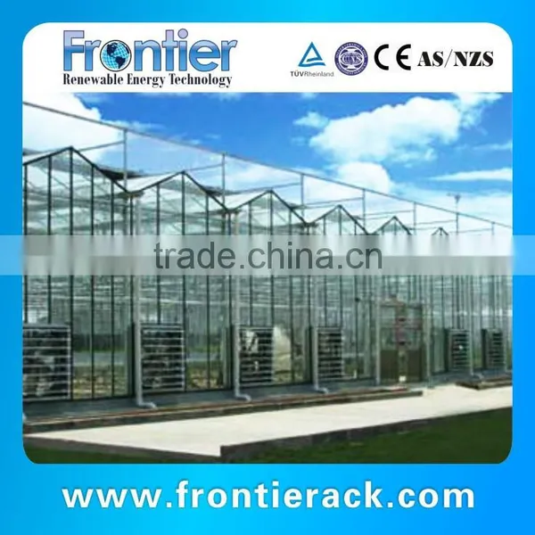 Big Steel Frame Greenhouse for Strawberry photo-6