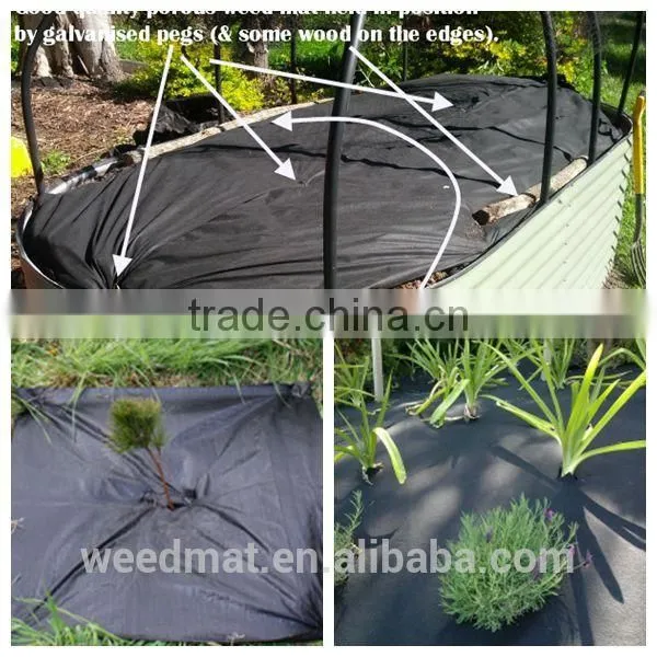 Black and Green Line pe Weedmat photo-2