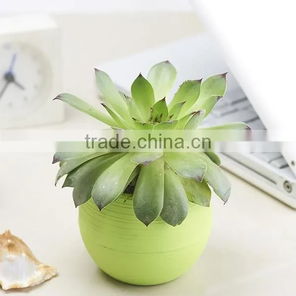 Mini Round Plastic Plant Flower Pot Home Office Decor Planter photo-2
