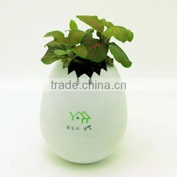 2015 Novelty Garden Flower Pot photo-6