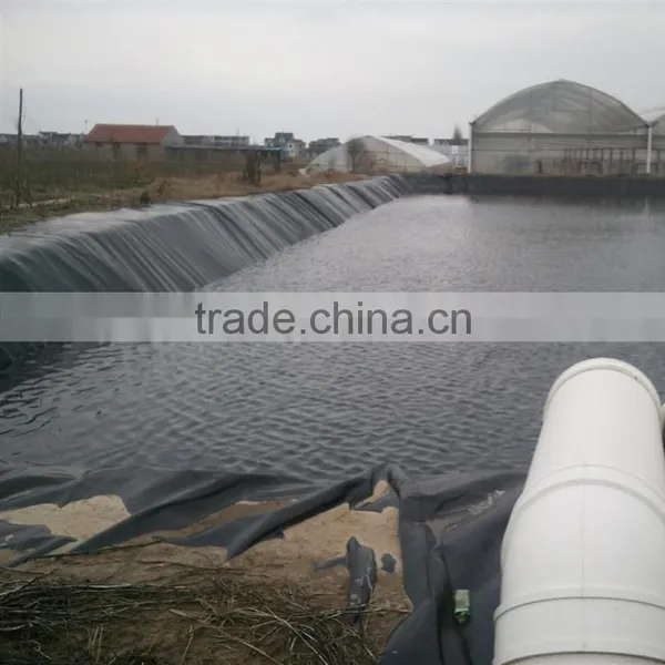 Fish Farm Pond Liner Leakproof Film Impermeable HDPE Geomembrane photo-4