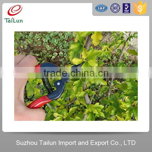 Garden Pruning Shears/carbon Steel Scissor/grape Scissors Pruning Shears photo-2