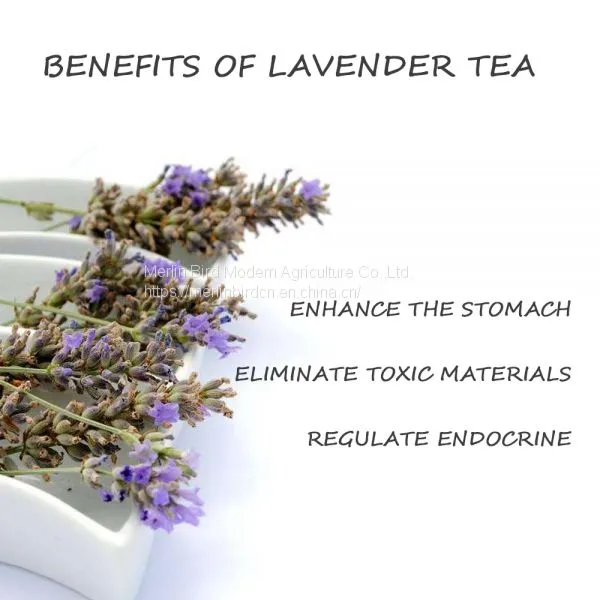 Lavender Flower Herbal Tea Calm the Nerves