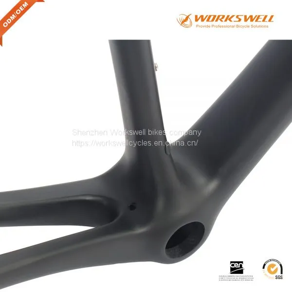 Road Custom Titanium Racking Bike Frame With Sliding photo-3