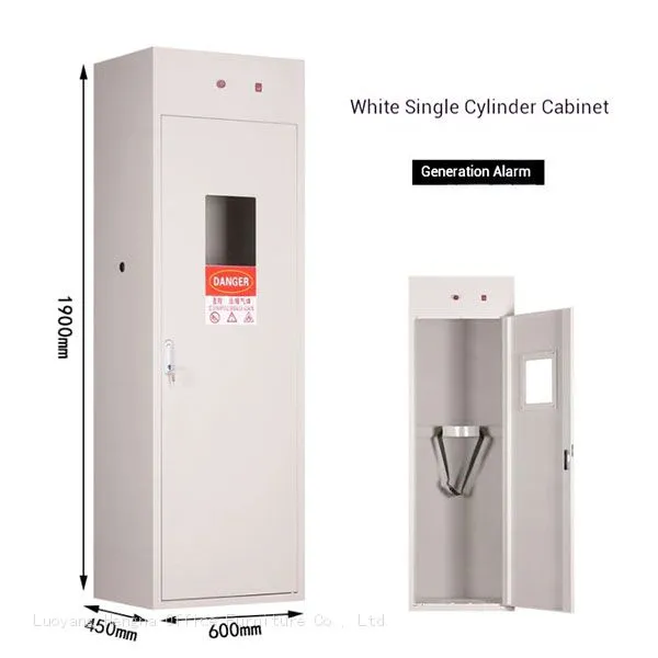 Intelligent Gas Cylinder Cabinet for Semiconductor Fabs, Standard Gas Leak Alarm & Automatic Exhaust System, OEM/ODM Supported