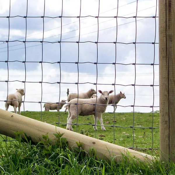 Hinged Joint Field Fence for Farm Livestock Sheep Wire Fencing Galvanized Wire Mesh Fence for Cattle Horse Sheep photo-6