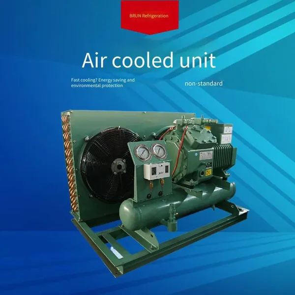 Pork Freezing Cold Storage, Borun Refrigeration Fruit and Vegetable Preservation Cold Storage Equipment, 20 hp 4vd - 20.2, Reliable and Worry - Free Cold Air Blower Cold Storage photo-5