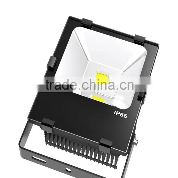 Outdoor Waterproof 50w LED Flood Light With Meanwell Driver Quality Choice photo-2