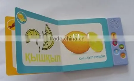 Hot Sale Recordable Voice Book for Children Reading/studying photo-6