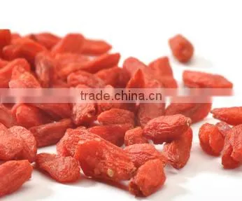Chinese Herb Goji Berry photo-3