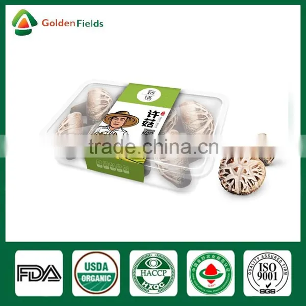Hotsale Organic Fresh Dry Fungus Vegetable Mushrooms Growing Seed Bag photo-3
