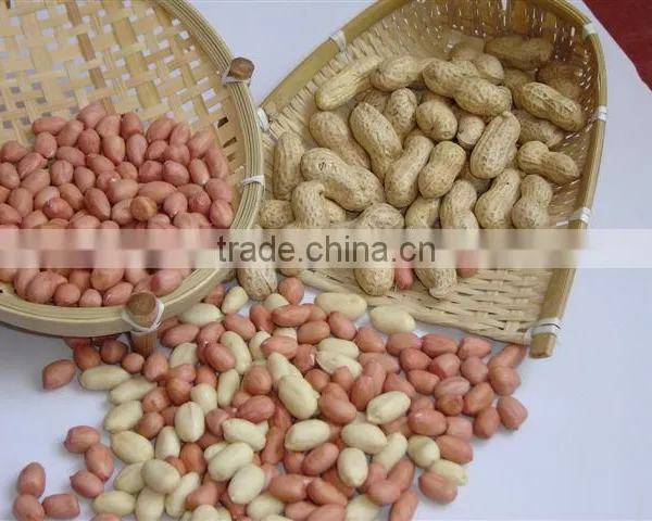 PEANUT ,BIGGEST PEANUT & PUMPKIN SEEDS FACTORY