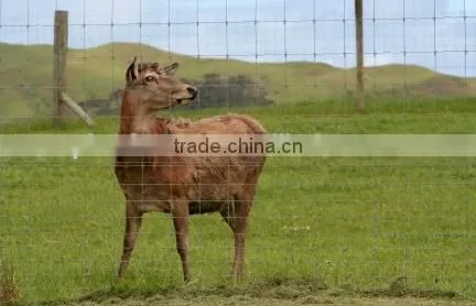 Re-used Deer Plastic Fence Products is Very Popular photo-3