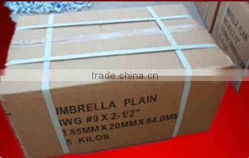 New Type Common Wire Nails Suppliers Directly photo-2