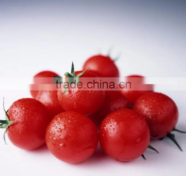 Multifunction Fruit Size Sorting and Grading Machine photo-2
