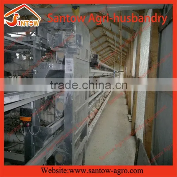 Stable Steel Structure Chicken Egg Layer Cage Poultry Farm Construction Design photo-5