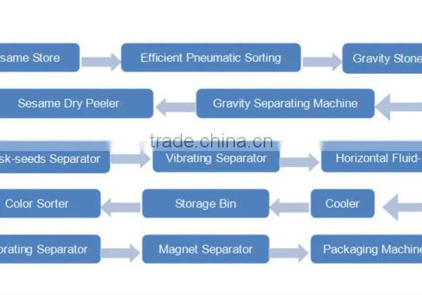 New Designed Widely Application Professional Peeled Sesame Production Line photo-6