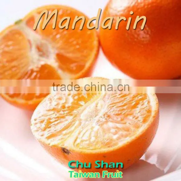 Grade A Fresh Mandarin Orange Citrus Fruit photo-2