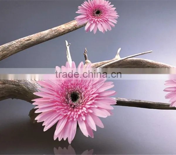 Beautiful Flower Design Colorful UV-print Clear Table Mat photo-3