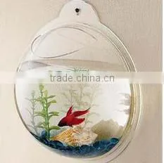 Wall Mounted Fish Tank Acrylic Aquarium Tank With Clear Color