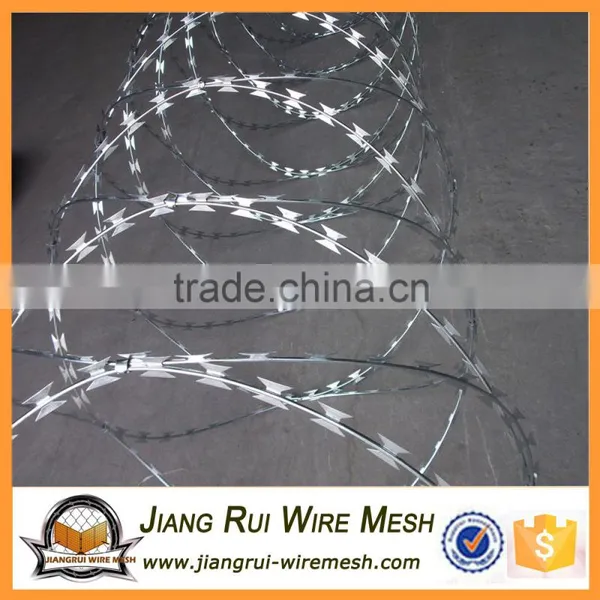 Low Price Concertina Hot Dipped Galvanized Razor Barbed Wire photo-4