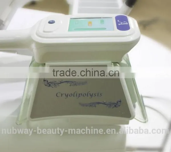 Best Lost Weight Way Freeze Increasing Muscle Tone Fat Cells Cryolipolysis Slimming Machine Fat Reduction photo-6