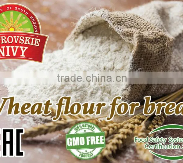 Wheat Flour
