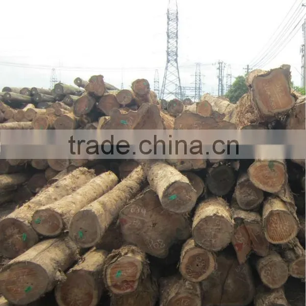Lao TEAK Wood TIMBER Good Quality