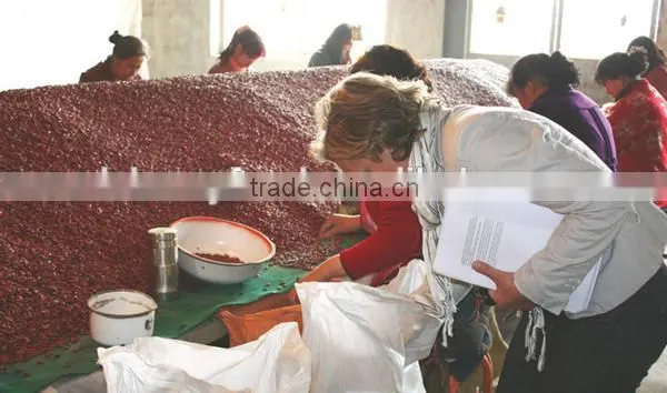 Red Kidney Beans for Hot Sale and With Free Sample for Sale photo-4