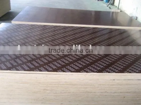 Film Faced Plywood photo-4