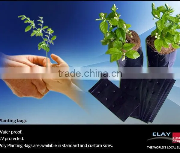 Planting Pot photo-6