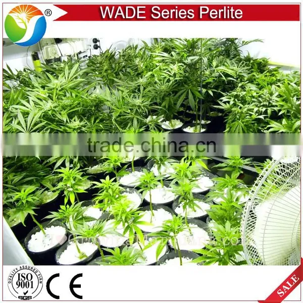 Soil Additive Perlite for House Plants and Garden photo-2