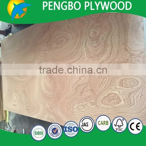 Best Selling 4x8 High Quality Laminated Wood Furniture Plywood for Indoor Usage photo-6