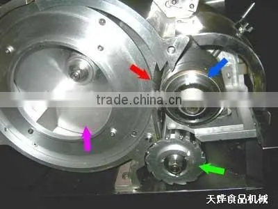TD1-800 New Potato Dicing Machine photo-3