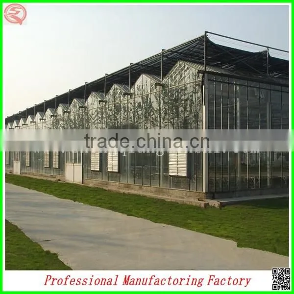 China Venlo Polycarbonate Sheet Greenhouse With Vegetable Seeds photo-4