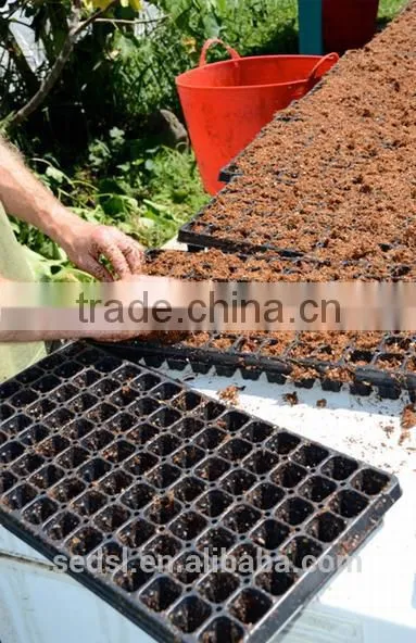 Artifici Flower Blister Process Type Seeding Tray photo-2