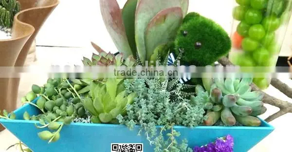 Biodegradable Colorful Plastic Flower Pots Eco Plant Fiber Pots photo-3