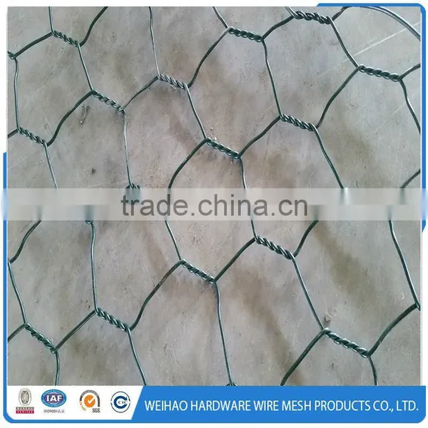 Hexagonal Galvanized Wire Mesh photo-5