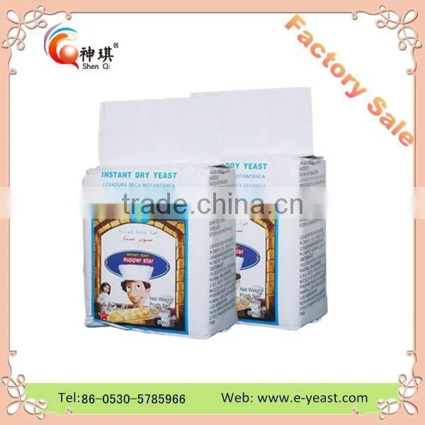 Export Low Sugar Instant Dry Yeast to Africa Market photo-3