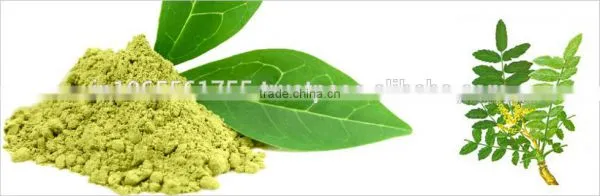 Coleus Forskohlii Extract photo-3