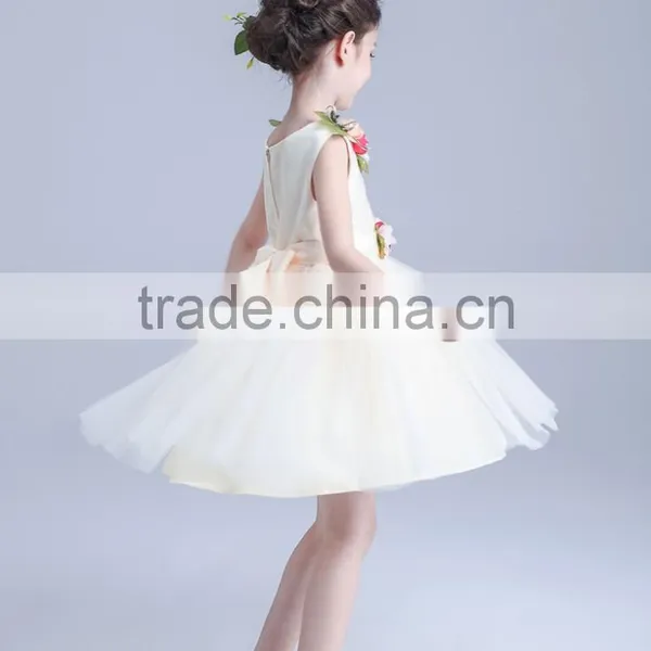 2017 Sun Dresses Summer Flowers Beach Dress photo-4