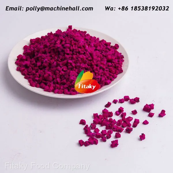 High Quality Freeze Dried Dragon Fruit Slices Wholesale Price photo-2