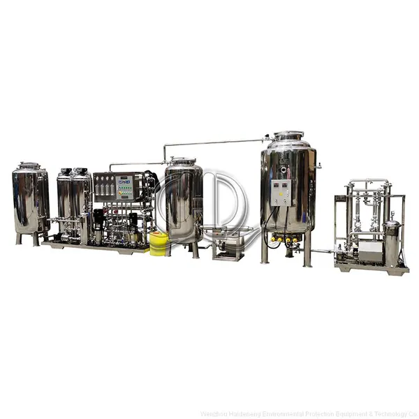 Customized Injection Water Automatic Two-stage Reverse Osmosis Water Purification Equipment Ro Water System With Sterile Heater photo-3