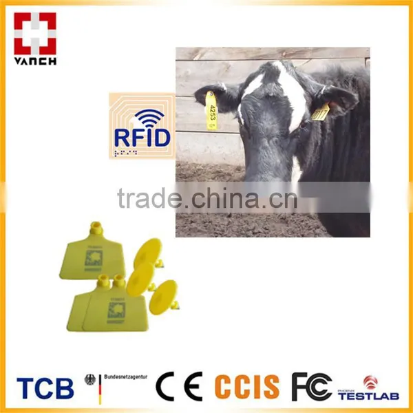 RFID UHF Rfid Animal Tracking Cattle Ear Tags Quality Choice photo-4
