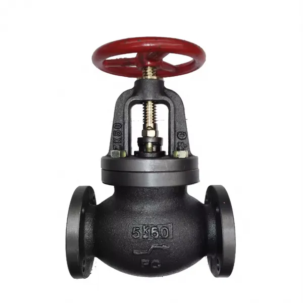 JIS 5K 10K 16K Cast Iron Flange Stop Globe Valve Marine Industrial Globe Valve Manufacturer photo-2